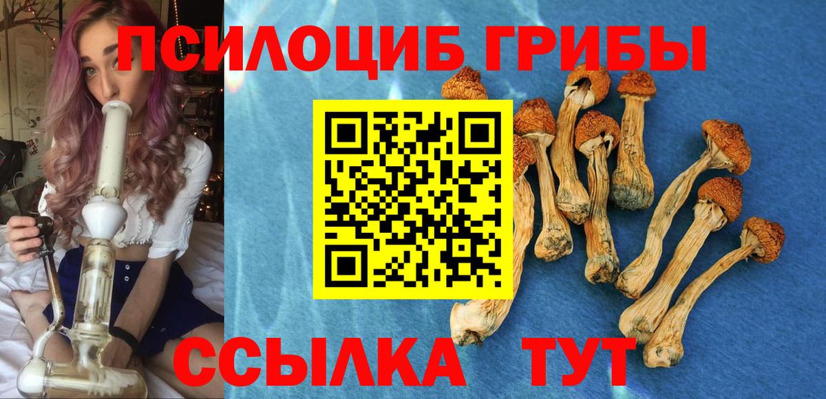 Псилоцибиновые грибы мицелий  Вход с VPN  закладки  Наро-Фоминск 